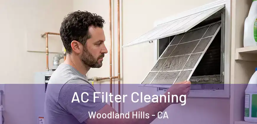 AC Filter Cleaning Woodland Hills - CA