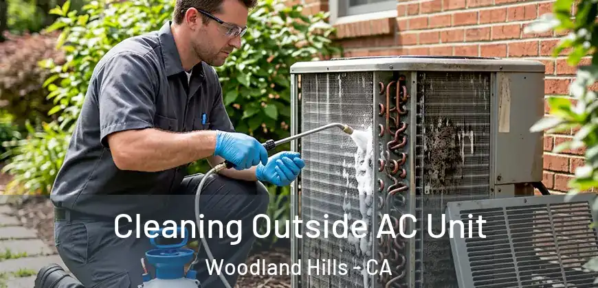 Cleaning Outside AC Unit Woodland Hills - CA